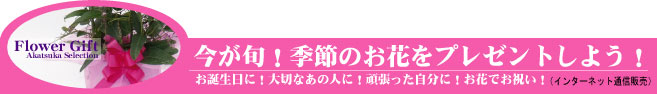 �G�߂̂��Ԃ̃M�t�g�@���͂����I�@�i�ʔ́j