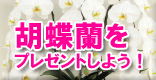 �Ӓ������v���[���g���悤�I