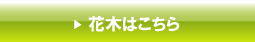 �Ԗ�