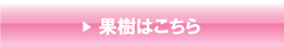 �ʎ�