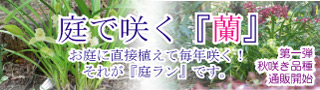�뗓