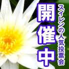 �X�C�����l�C���[��