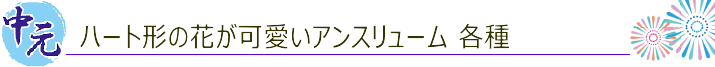 花持ち最高!アンスリューム 御中元