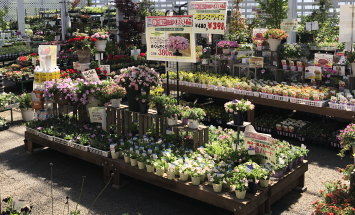 赤塚植物園　アカツカFFCパビリオン　店内風景　145*90