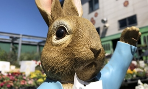 赤塚植物園 アカツカFFCパビリオン 母の日のカーネーションたち 145*90