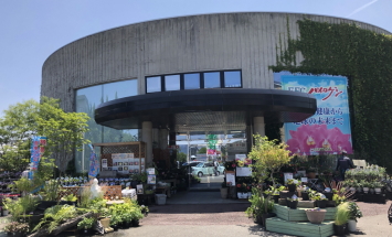 赤塚植物園　アカツカFFCパビリオン　店内風景　297*180
