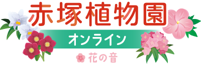 赤塚植物園オンライン花の音