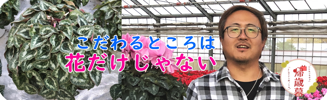 帰歳暮 2020年 帰省できないから元気だよを帰歳暮で伝えよう。