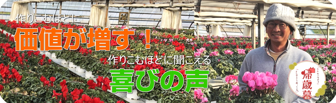 帰歳暮 2020年 帰省できないから元気だよを帰歳暮で伝えよう。