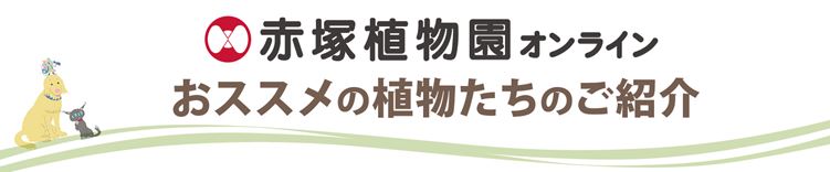 赤塚植物園オンライン タイトル