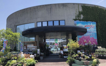 話題の培養土　赤塚培養土 販売中 お求めは赤塚植物園の通販で