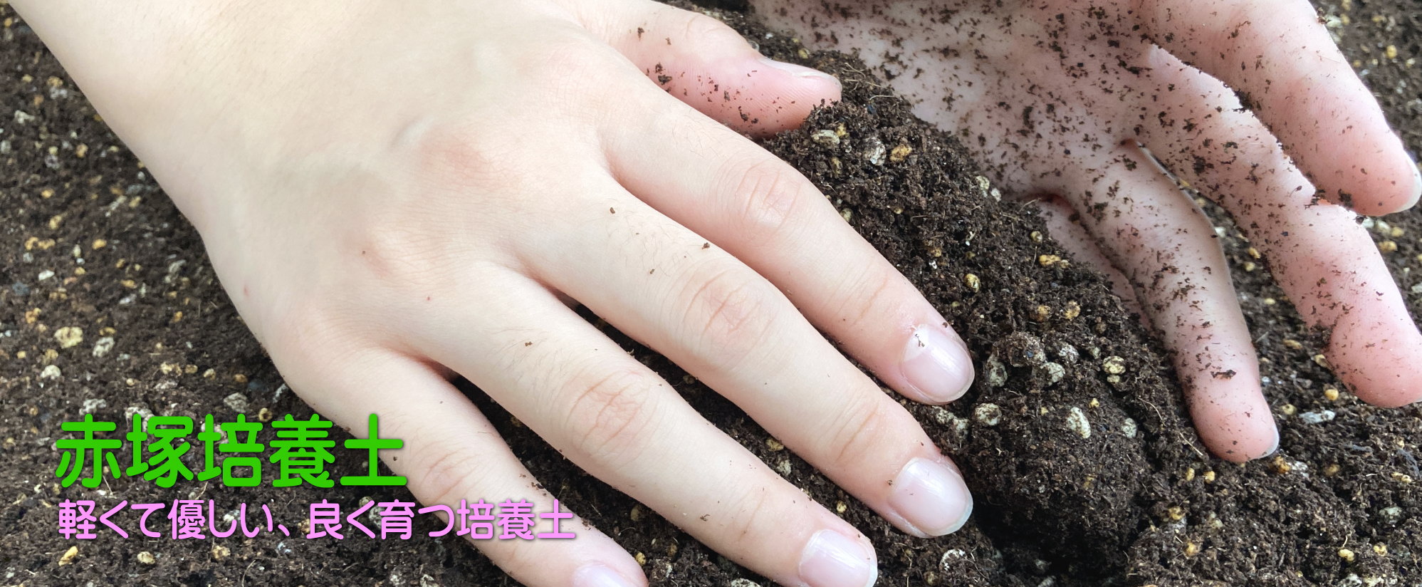 赤塚培養土 三重県の赤塚植物園が開発した評判の園芸用土 赤塚培養土 株式会社 赤塚植物園