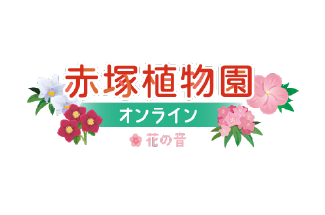 赤塚植物園オンライン花の音