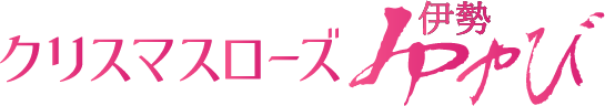 クリスマスローズ伊勢みやびロゴ