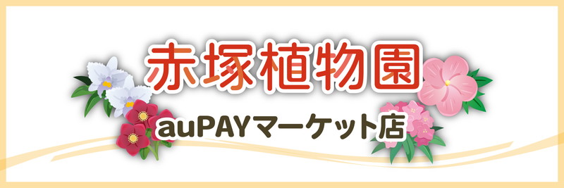 auPAYバナー