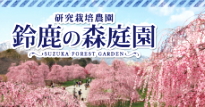 三重県　おでかけ　鈴鹿の森庭園　梅園｜赤塚植物園