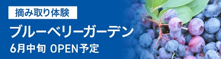 赤塚ブルーベリーガーデン