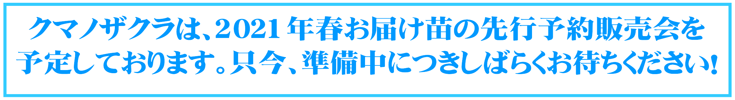 熊野桜（くまのざくら）