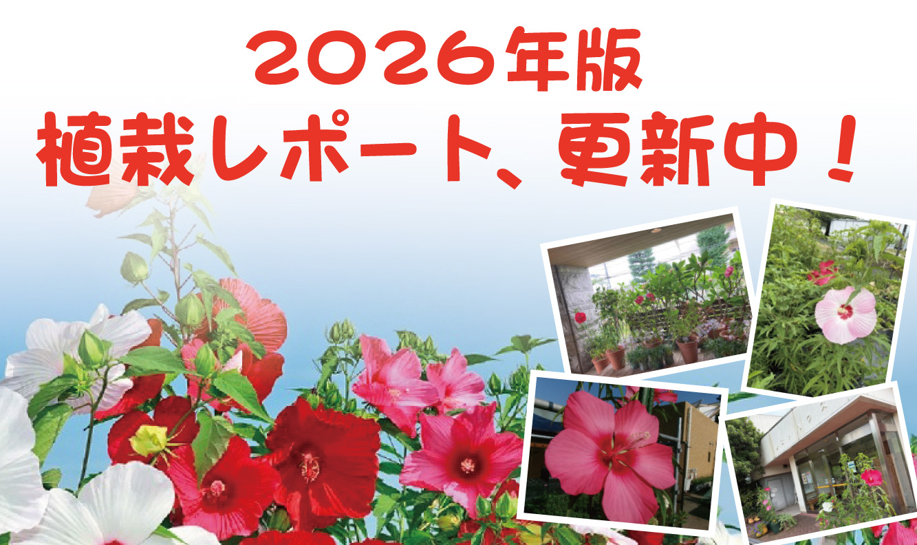 植栽レポート