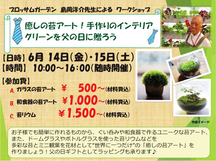 アカツカffcパビリオンより 癒しの苔アート 手作りのインテリアグリーンを父の日に贈ろう 株式会社 赤塚植物園 6月14日 15日 アカツカffcパビリオンより 癒しの苔アート 手作りのインテリアグリーンを父の日に贈ろう 株式会社 赤塚植物園 6月14日 15日