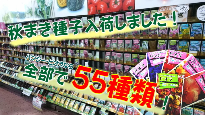 これ全部お店に並んでます！
