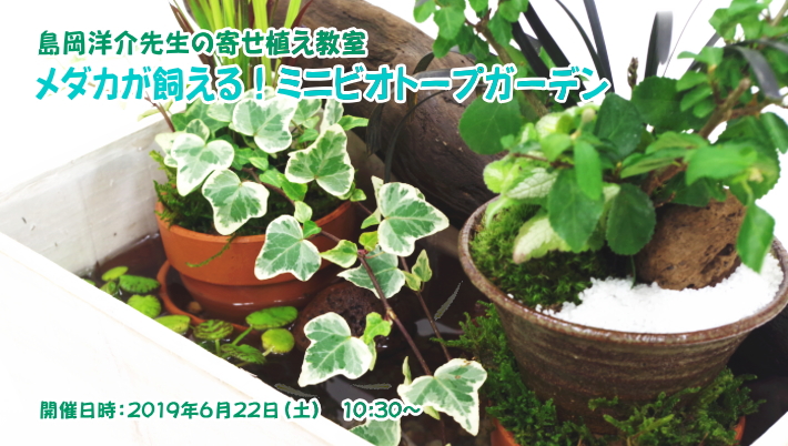 島岡洋介先生の園芸教室のご案内［メダカが飼える！ミニビオトープガーデン］