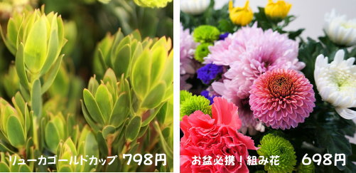 アカツカffcパビリオンより 19年8月7日 水 14日 水 お盆だよ 切り花お盆市を開催します 株式会社 赤塚植物園 アカツカffcパビリオンより 19年8月7日 水 14日 水 お盆だよ 切り花お盆市を開催します 株式会社 赤塚植物園