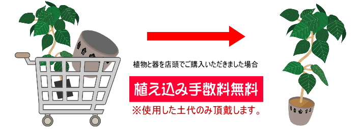 植物と器を店頭で購入された場合の植え込み手数料は無料です。