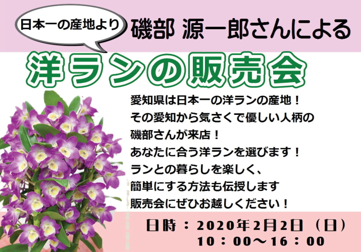 アカツカffcパビリオンより 2月2日 磯部源一郎さんによる洋ラン販売会 開催 株式会社 赤塚植物園