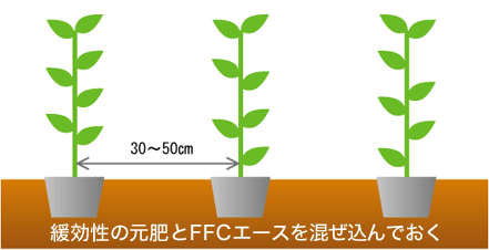 30～50cm 緩効性の元肥とFFCエースを混ぜ込んでおく