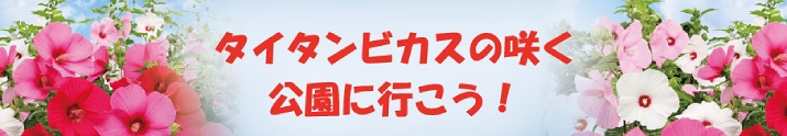 近くの公園に最新タイタンビカスを見に行こう！