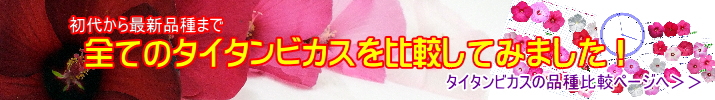 タイタンビカス全品種性質比較ページ｜花の音リンク