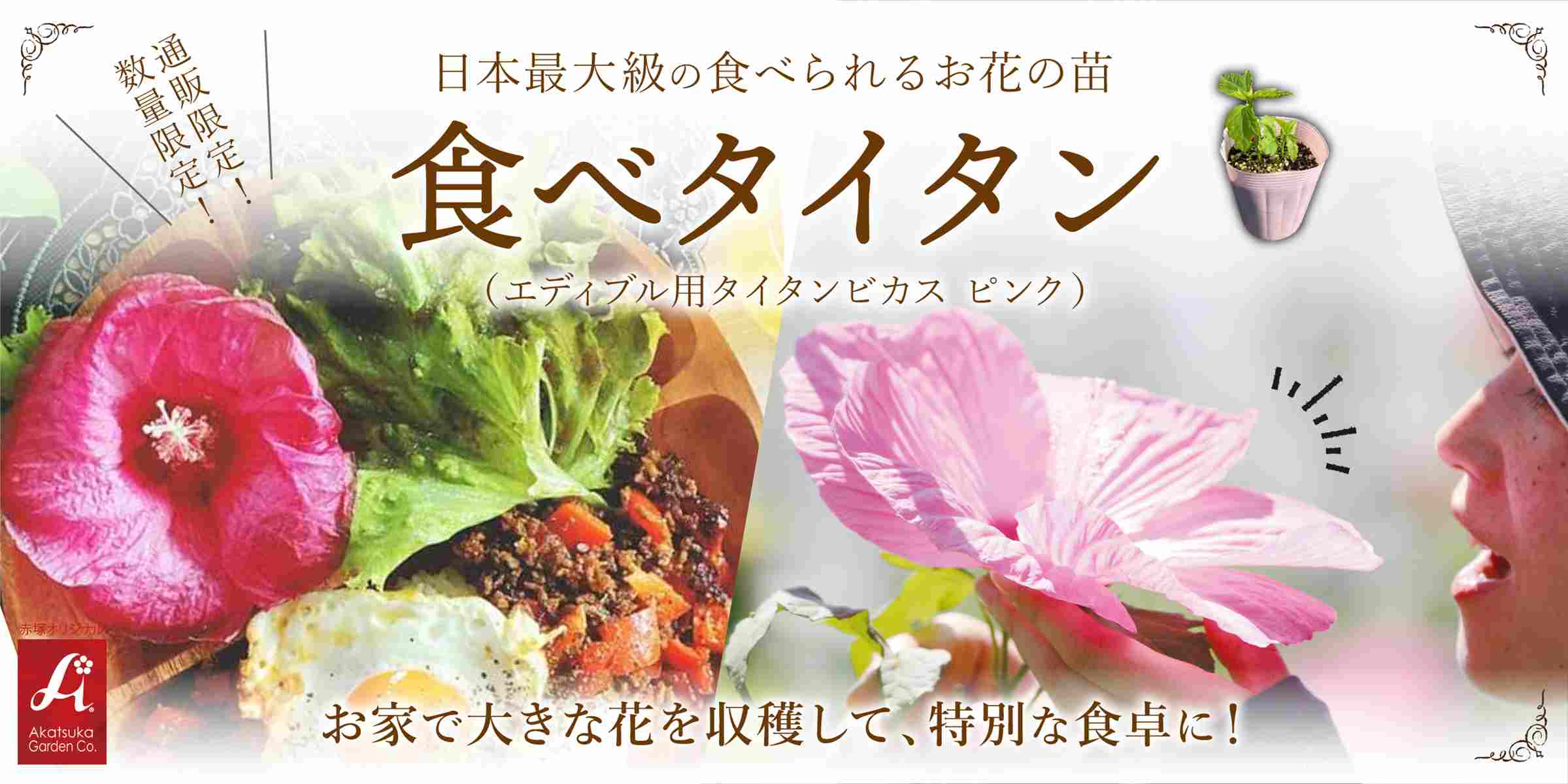 食べタイタン